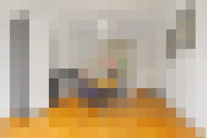 Van Loostraat 81 Den Haag thumbnail 19