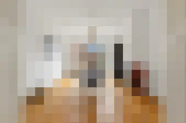 Van Loostraat 81 Den Haag thumbnail 20