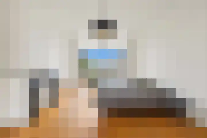 Van Loostraat 81 Den Haag foto 3