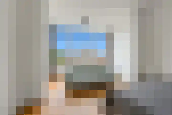 Van Loostraat 81 Den Haag thumbnail 32