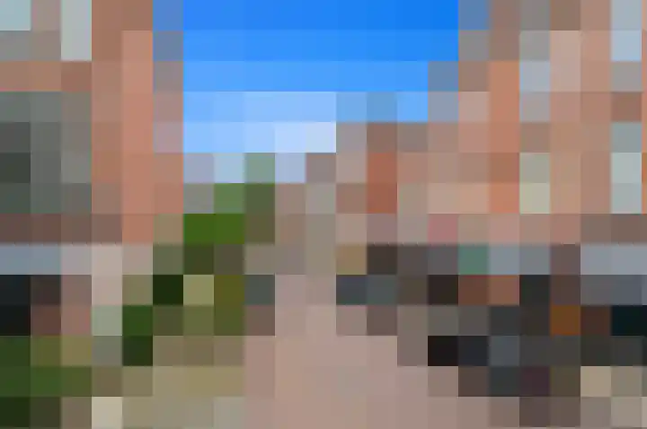 Van Loostraat 81 Den Haag thumbnail 5