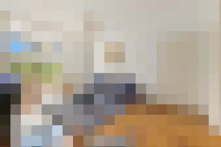 Van Loostraat 81 Den Haag thumbnail 9
