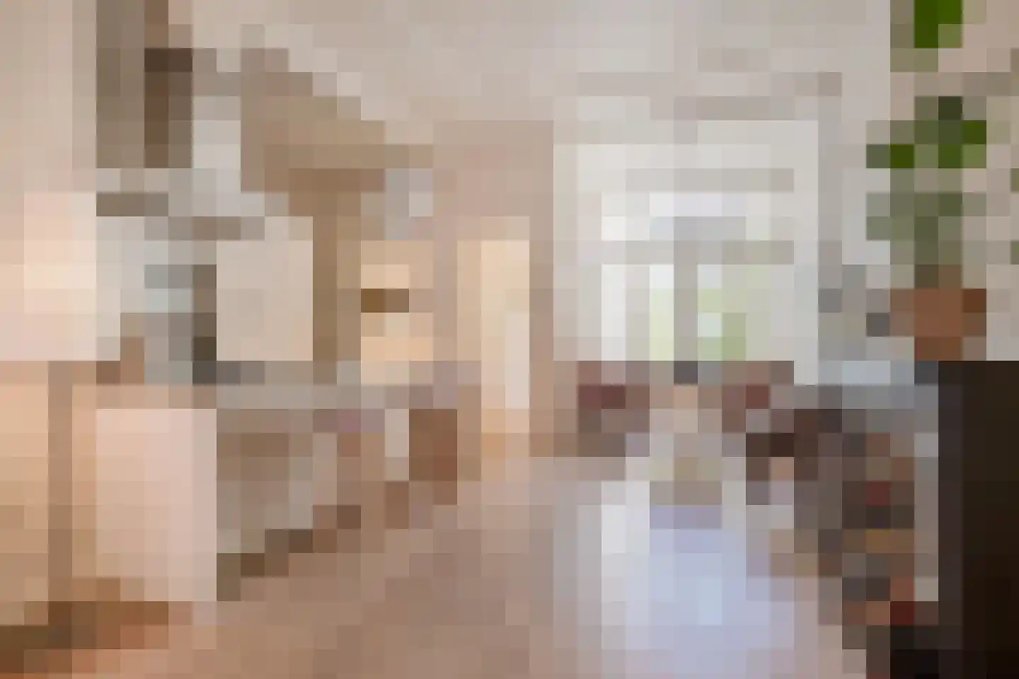 Van Loostraat 84 Den Haag thumbnail 11