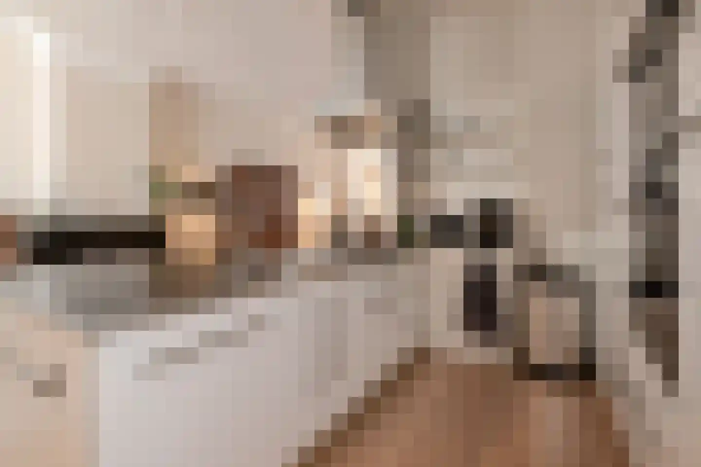 Van Loostraat 84 Den Haag thumbnail 16