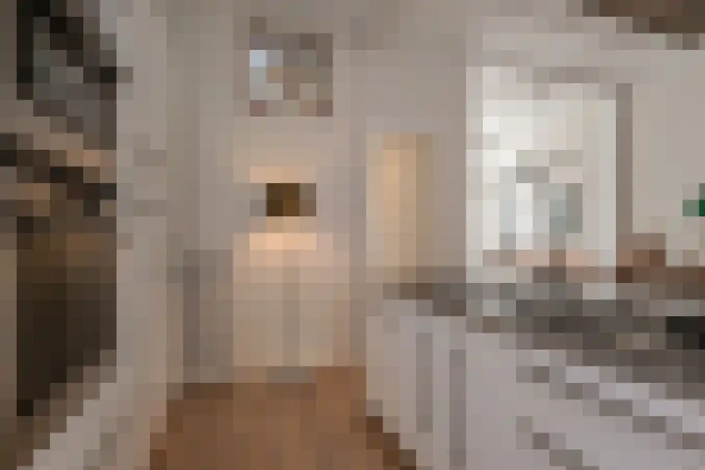 Van Loostraat 84 Den Haag thumbnail 17