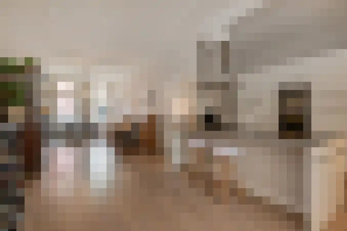 Van Loostraat 84 Den Haag thumbnail 18