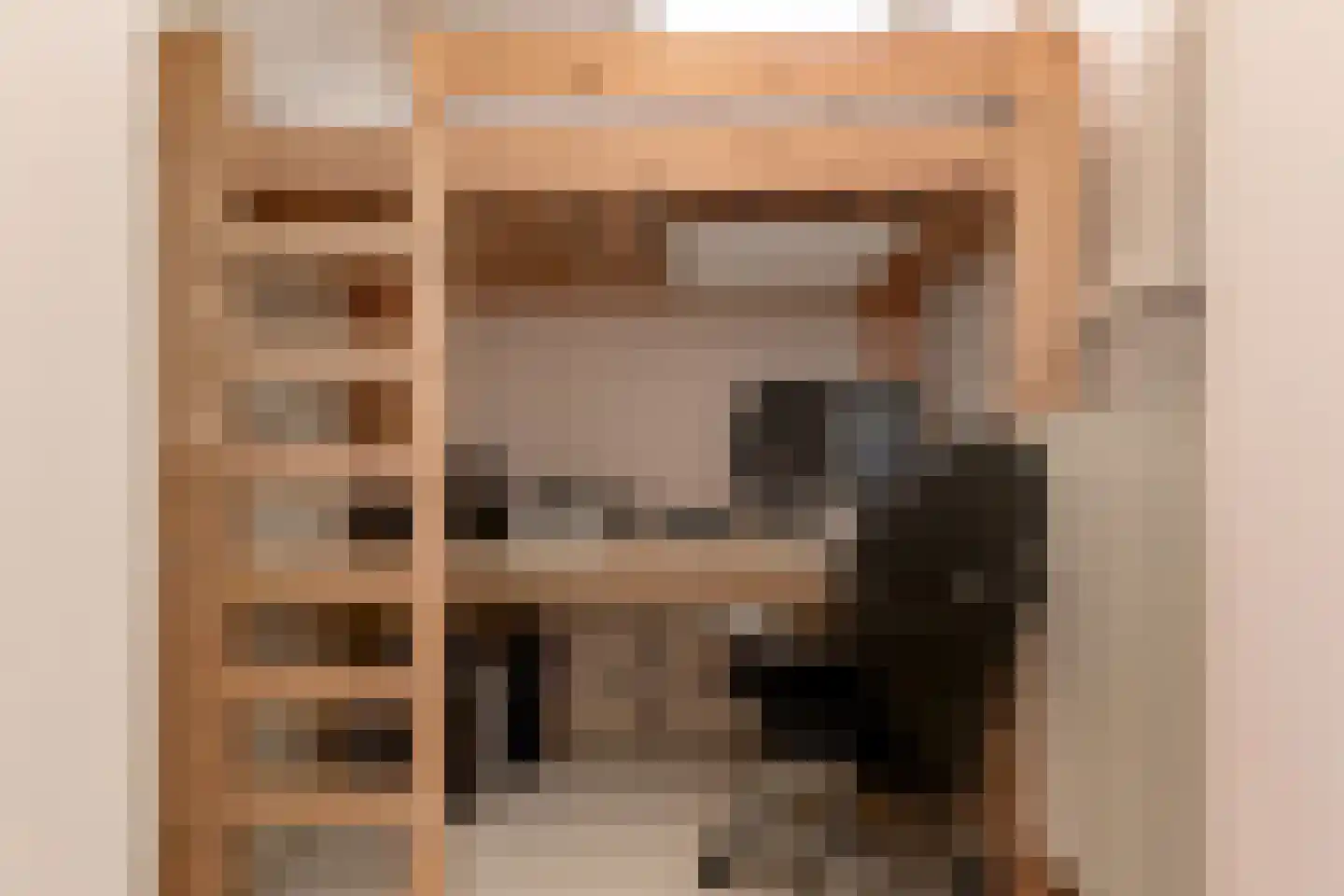 Van Loostraat 84 Den Haag thumbnail 21