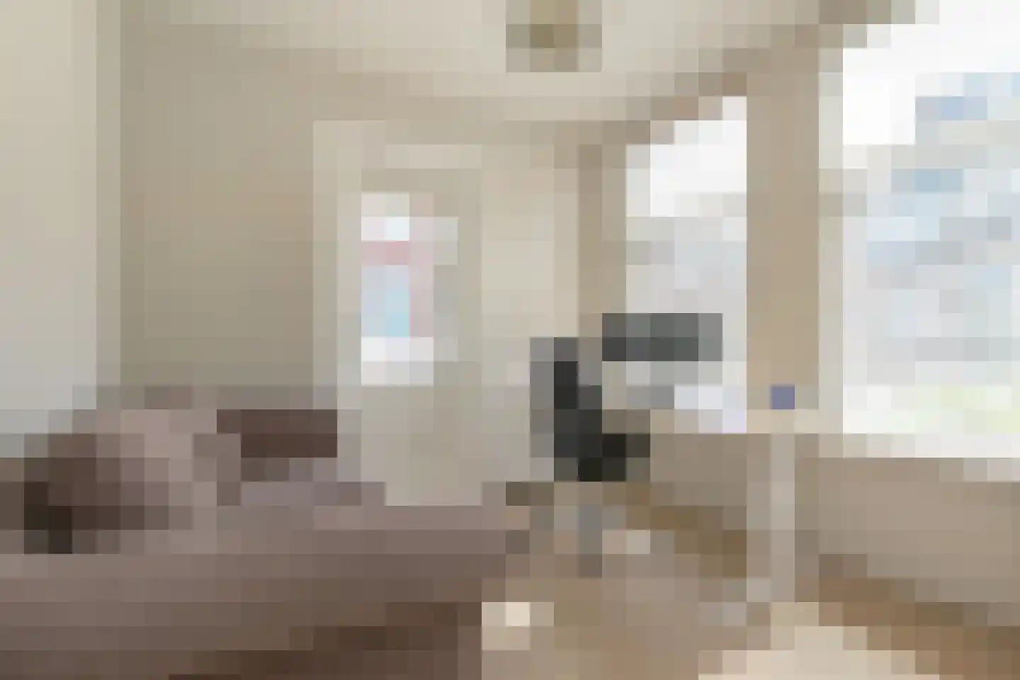 Van Loostraat 84 Den Haag thumbnail 29