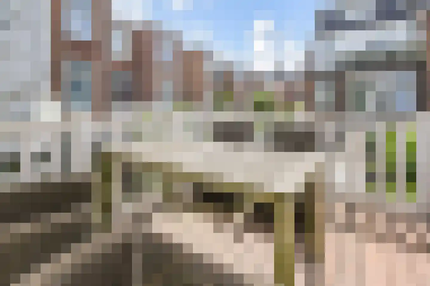 Van Loostraat 84 Den Haag thumbnail 32