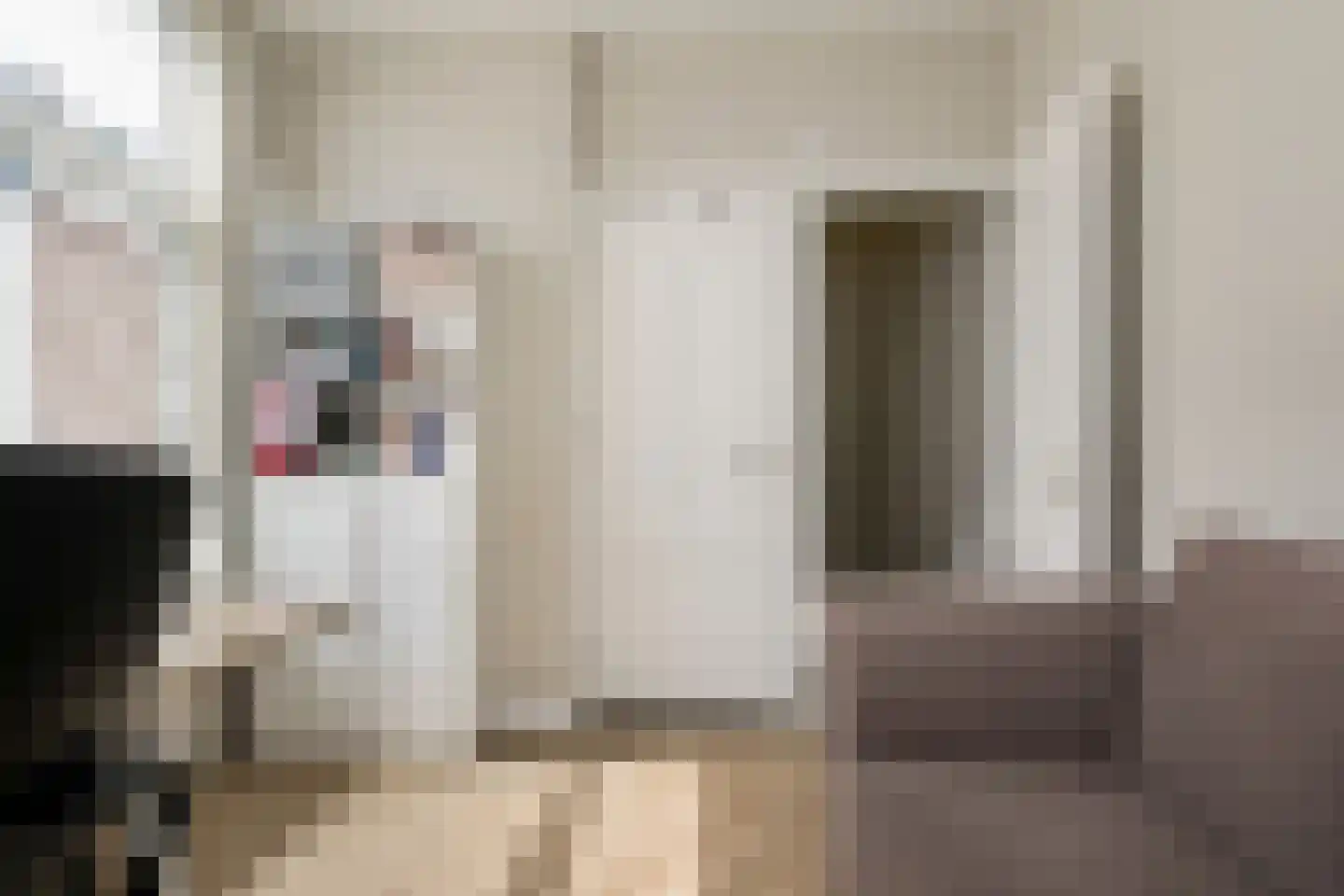 Van Loostraat 84 Den Haag thumbnail 33