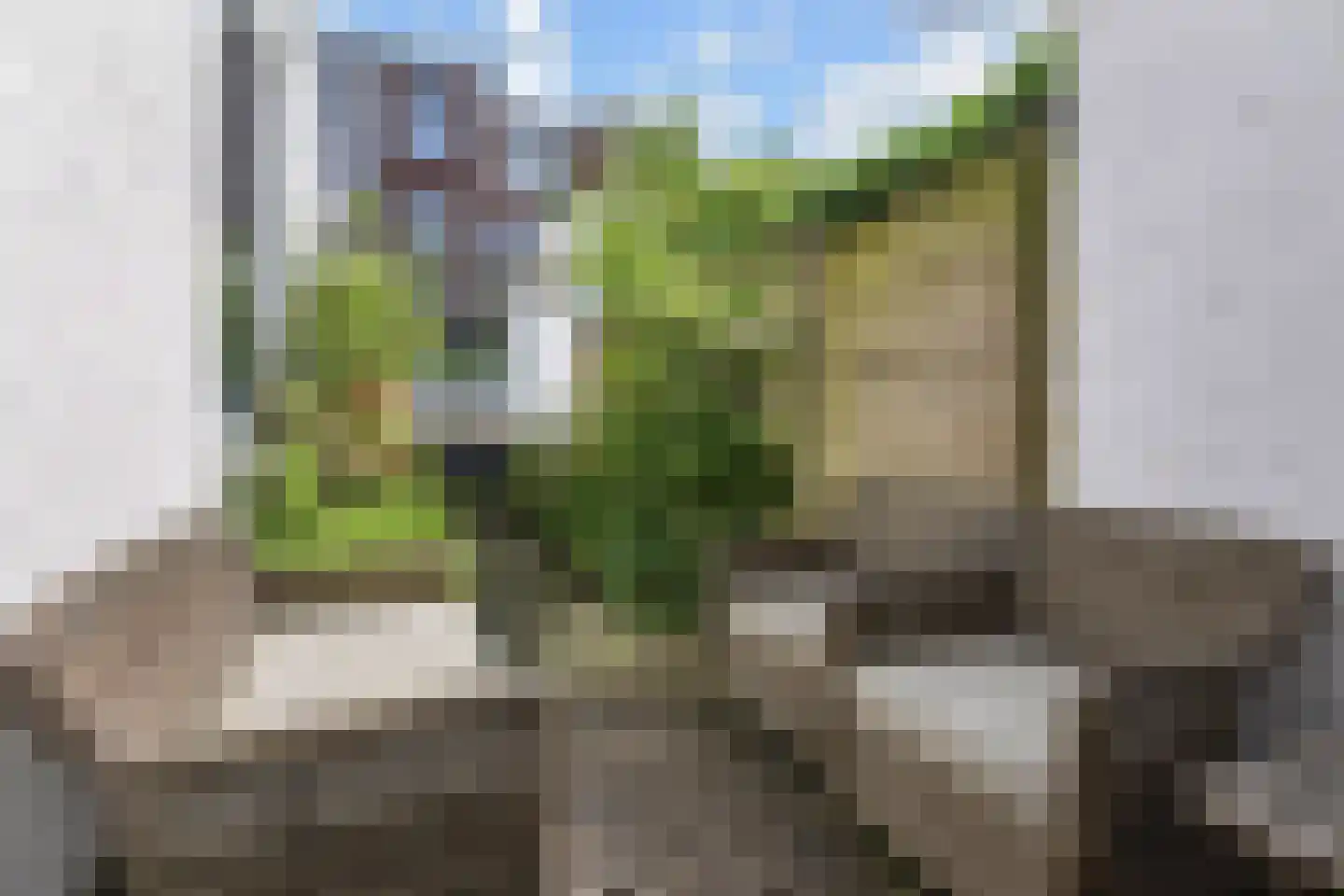 Van Loostraat 84 Den Haag thumbnail 36
