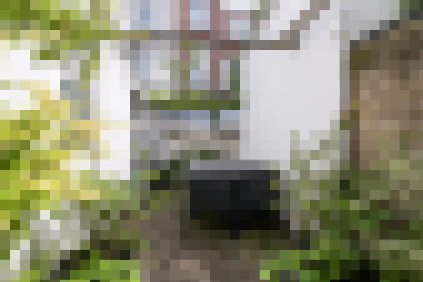 Van Loostraat 84 Den Haag thumbnail 37
