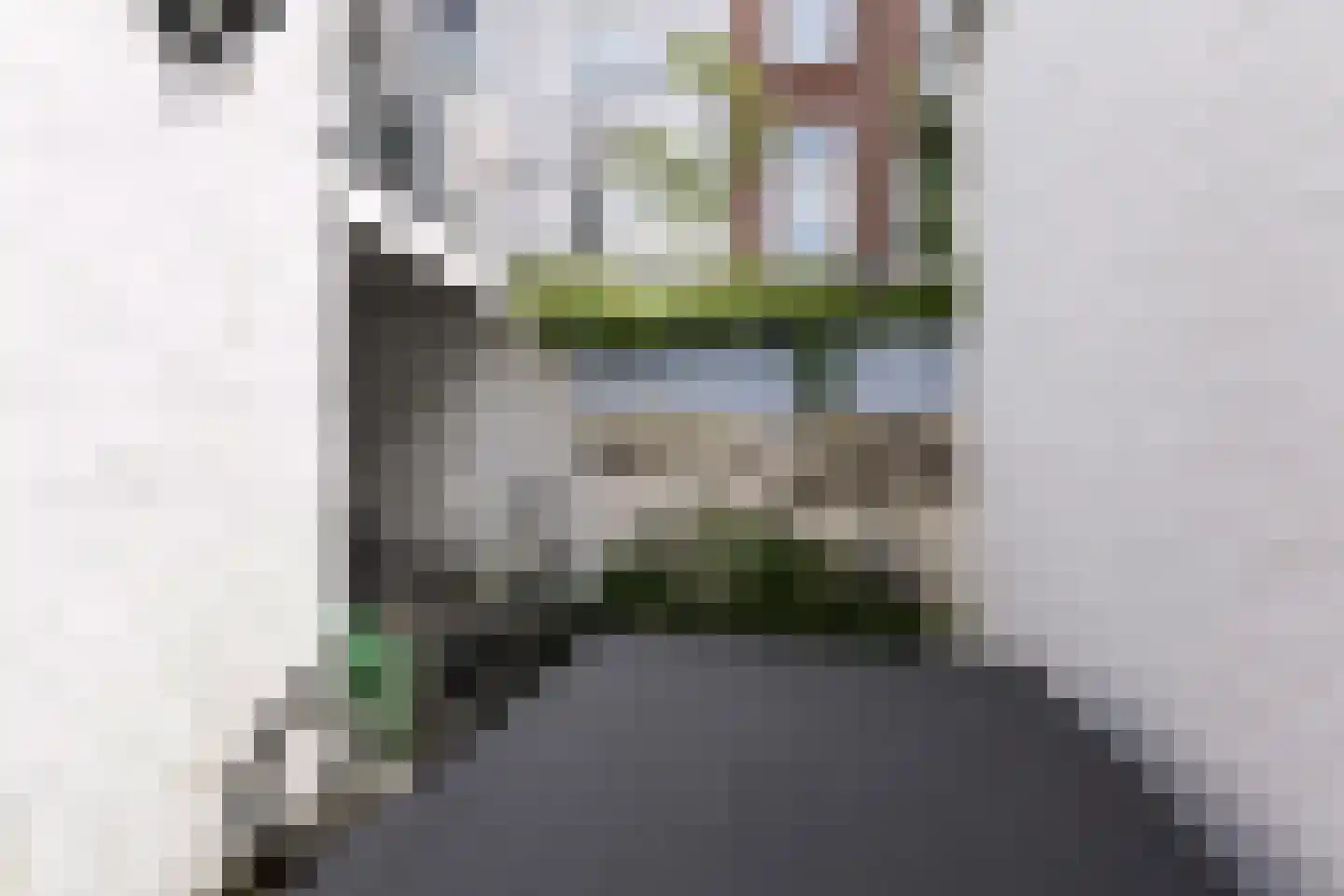 Van Loostraat 84 Den Haag thumbnail 38