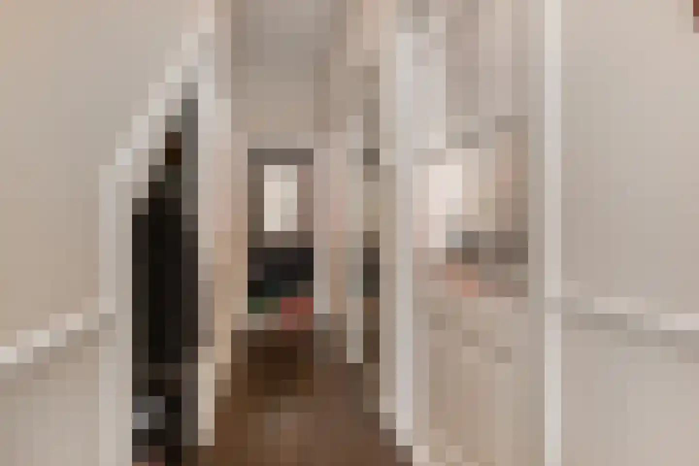 Van Loostraat 84 Den Haag thumbnail 4