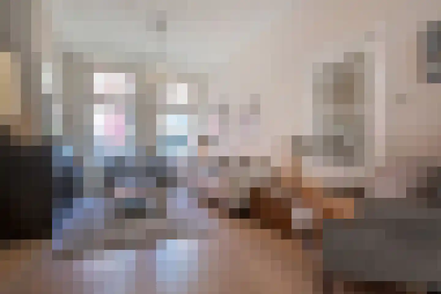 Van Loostraat 84 Den Haag thumbnail 7