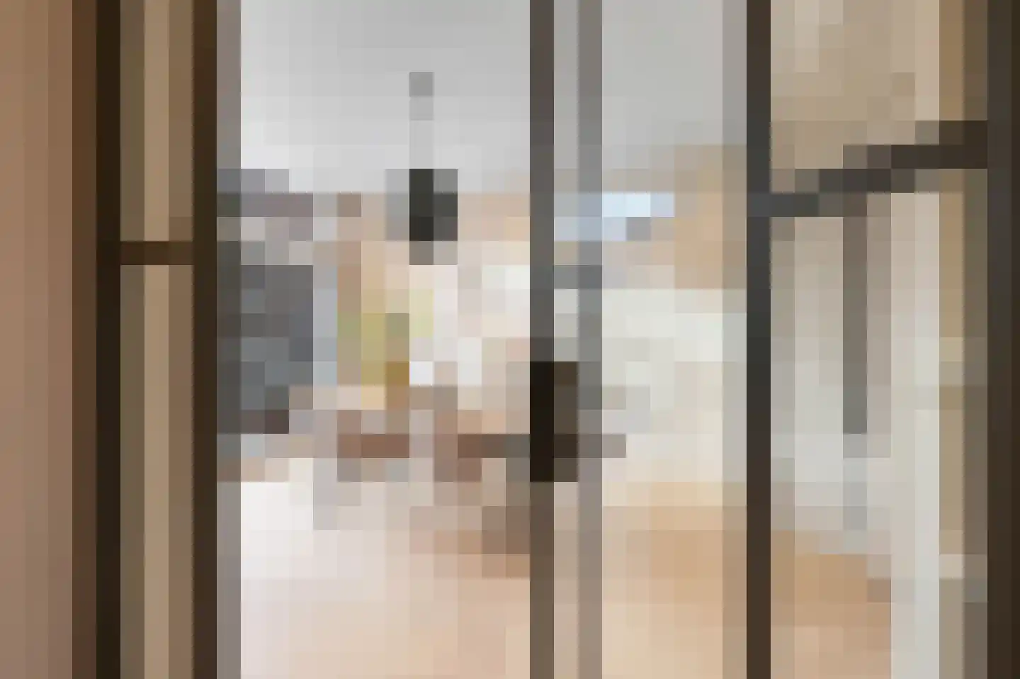 Van Loostraat 86 Den Haag thumbnail 11