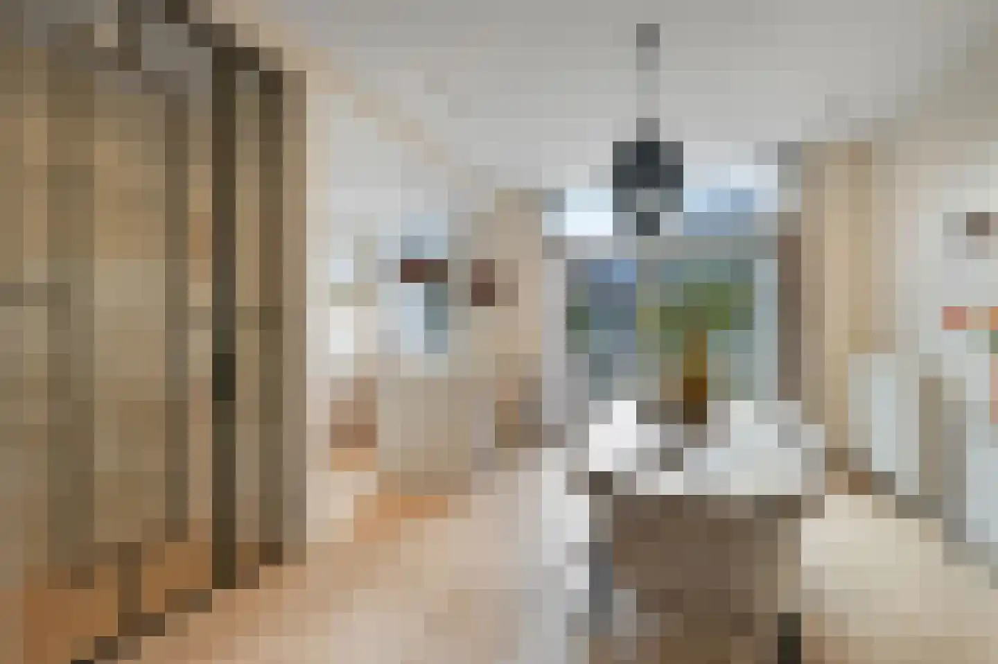 Van Loostraat 86 Den Haag thumbnail 12