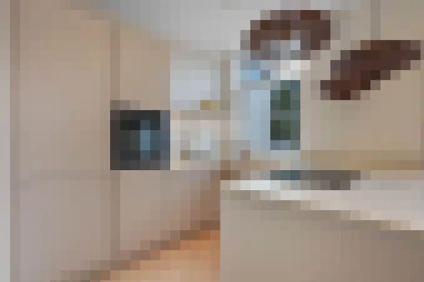 Van Loostraat 86 Den Haag thumbnail 14