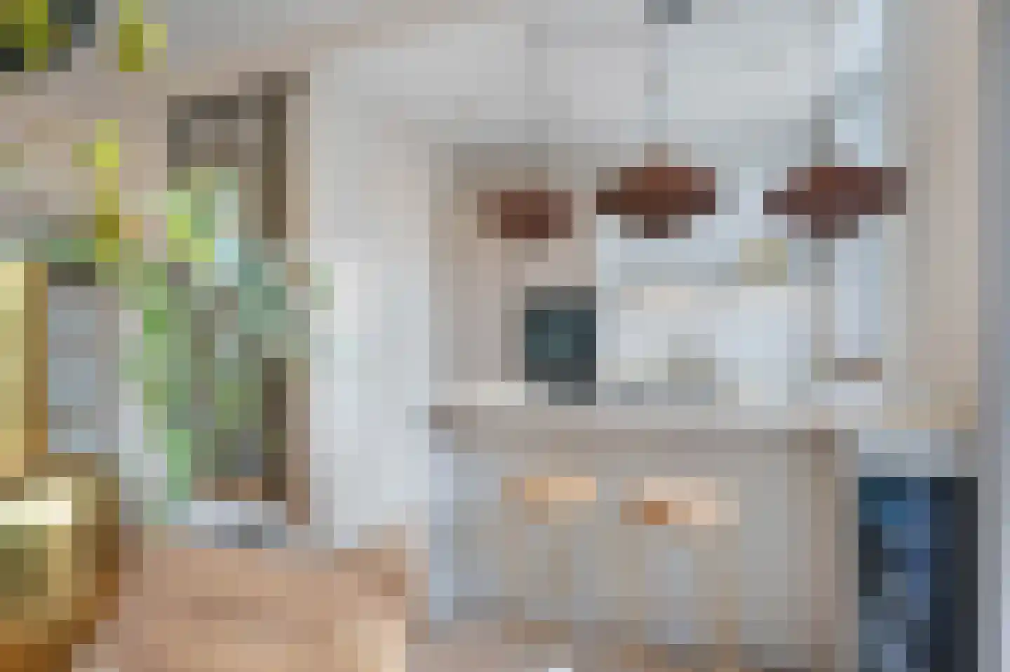 Van Loostraat 86 Den Haag thumbnail 18
