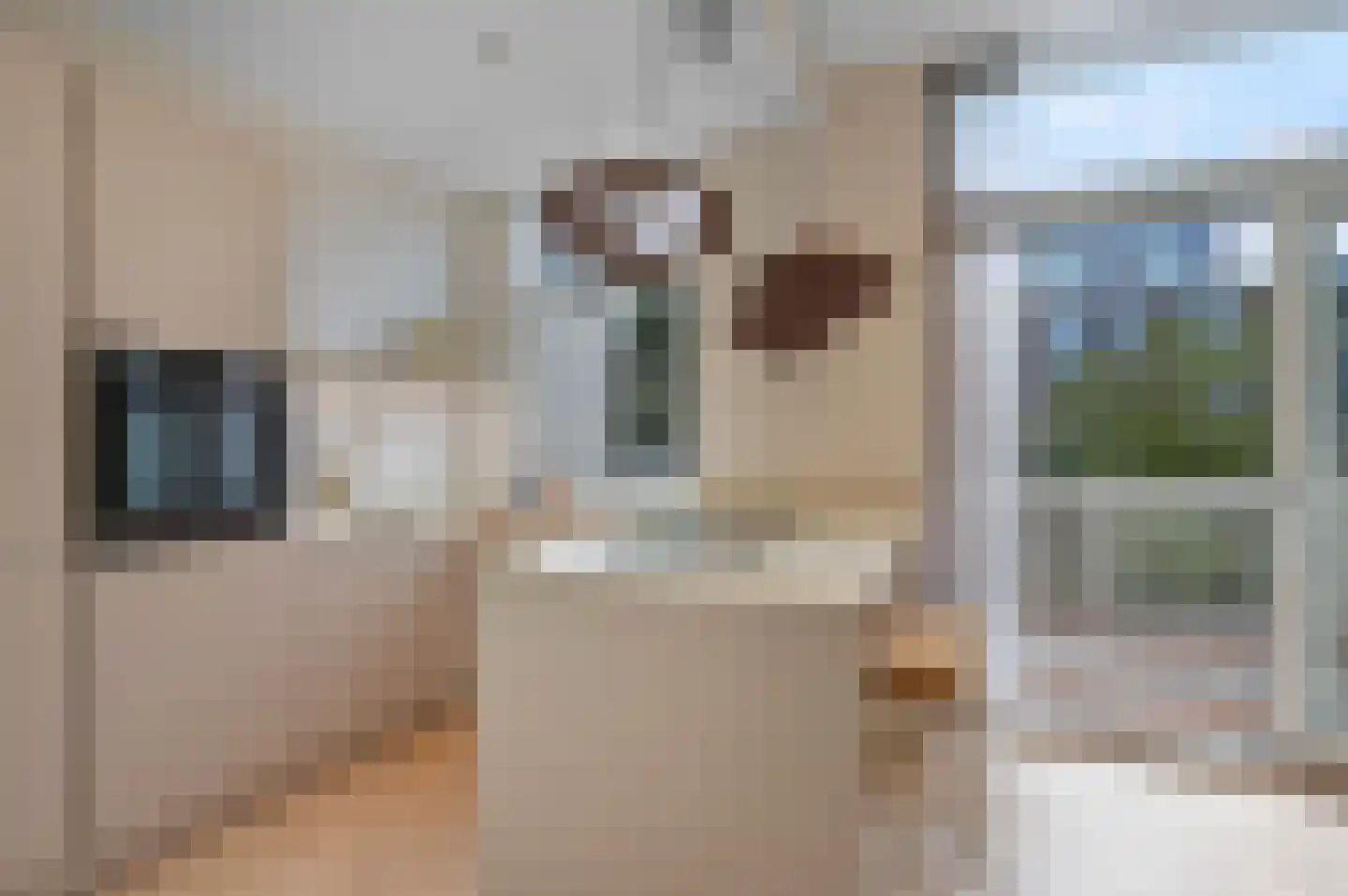 Van Loostraat 86 Den Haag thumbnail 4