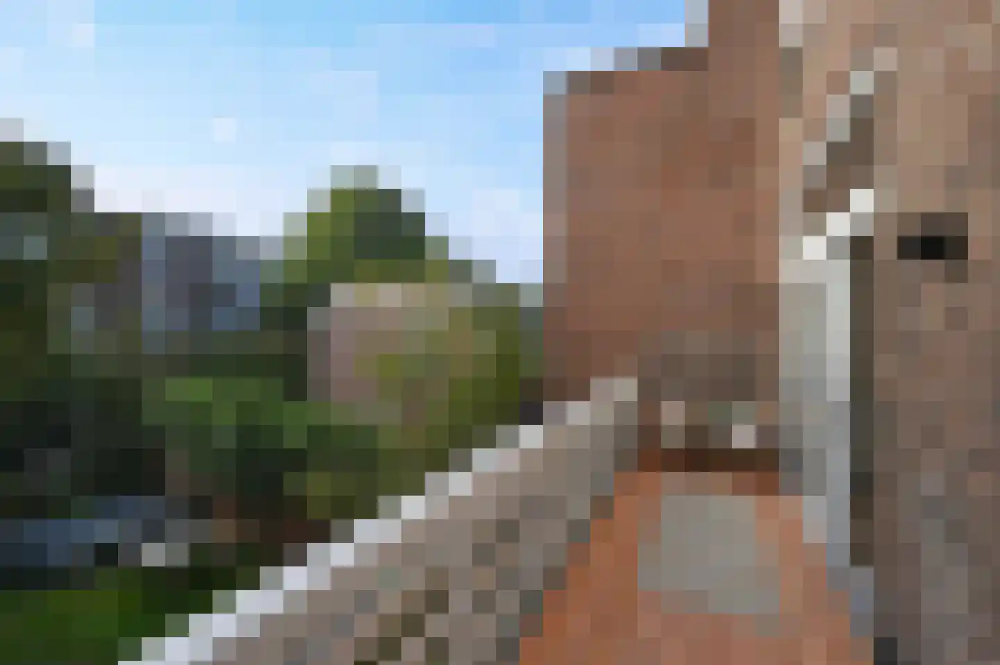 Van Loostraat 86 Den Haag thumbnail 5