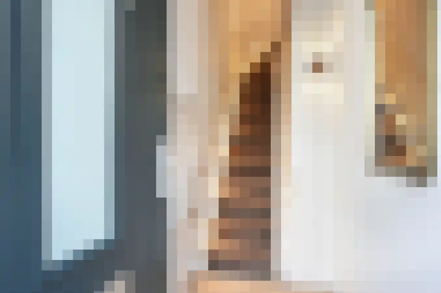 Van Loostraat 86 Den Haag thumbnail 7
