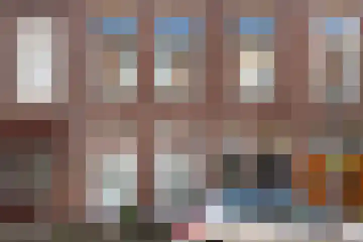 Van Loostraat 92 Den Haag