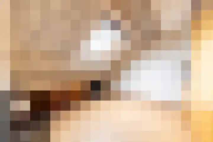 Van Lottomstraat 1 Kwintsheul thumbnail 32