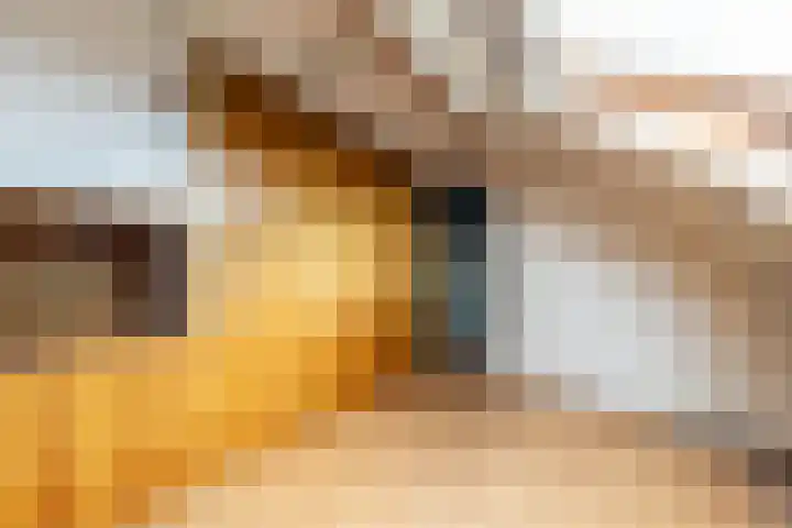 Van Lottomstraat 1 Kwintsheul thumbnail 38