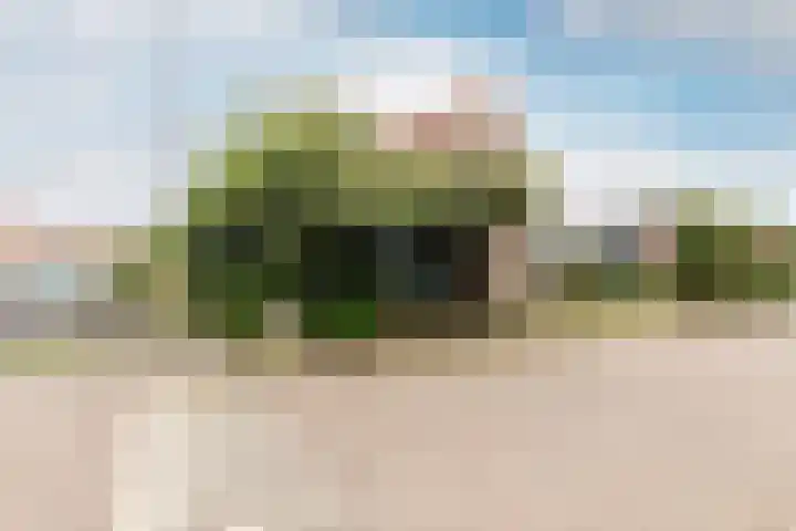Van Lottomstraat 1 Kwintsheul thumbnail 41