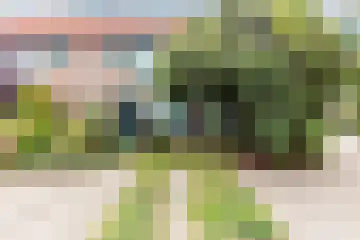 Van Lottomstraat 1 Kwintsheul thumbnail 6