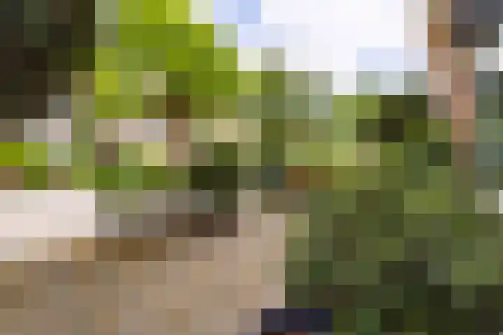 van Lugtenburgstraat 33 Voorburg thumbnail 5