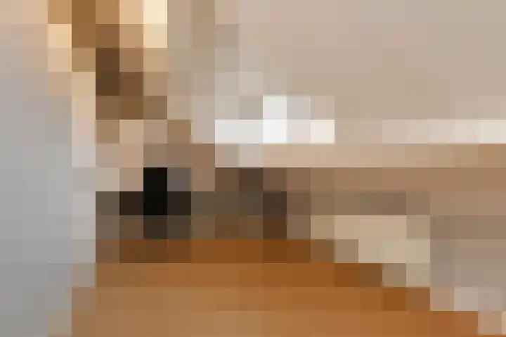 van Lugtenburgstraat 37 Voorburg thumbnail 42