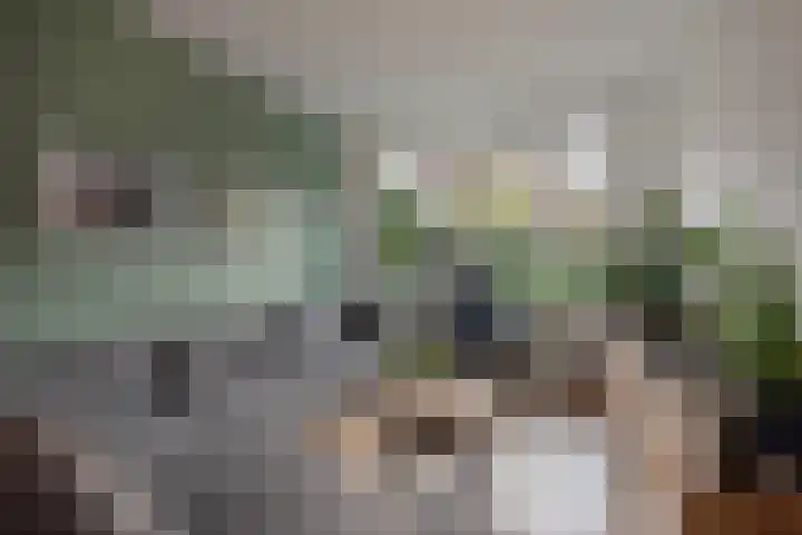 van Lugtenburgstraat 4 Voorburg thumbnail 10