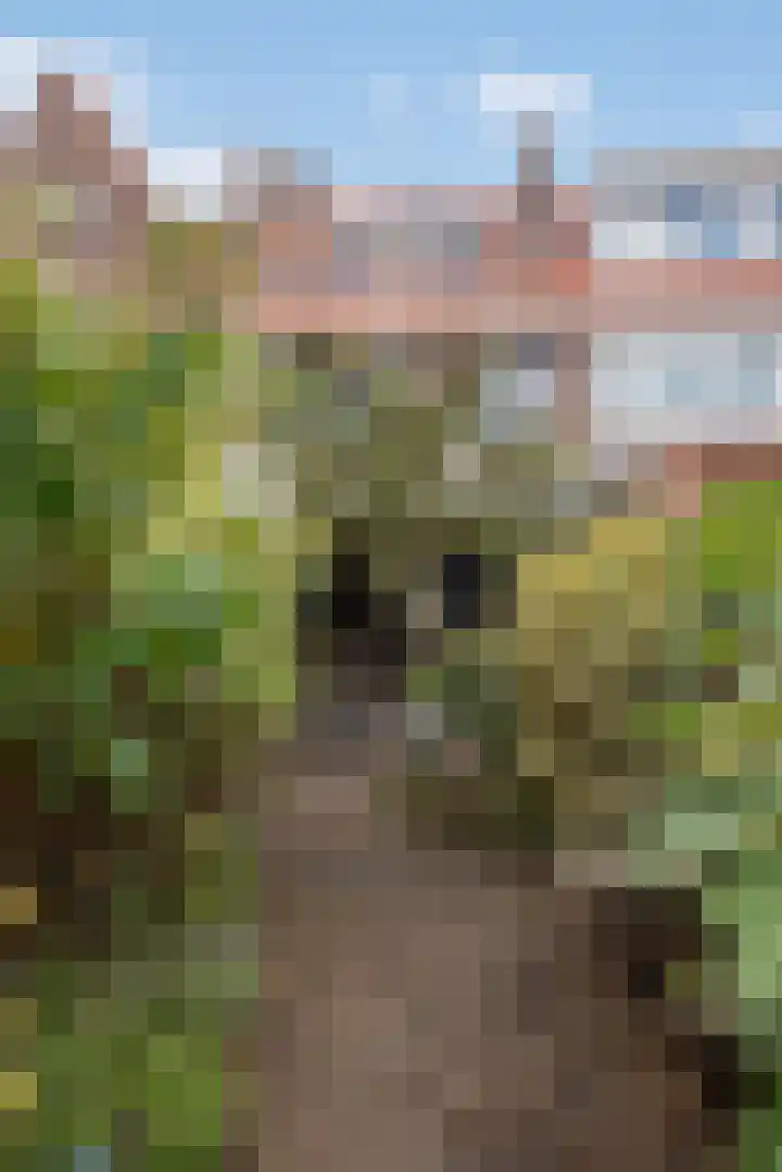 van Lugtenburgstraat 4 Voorburg thumbnail 21