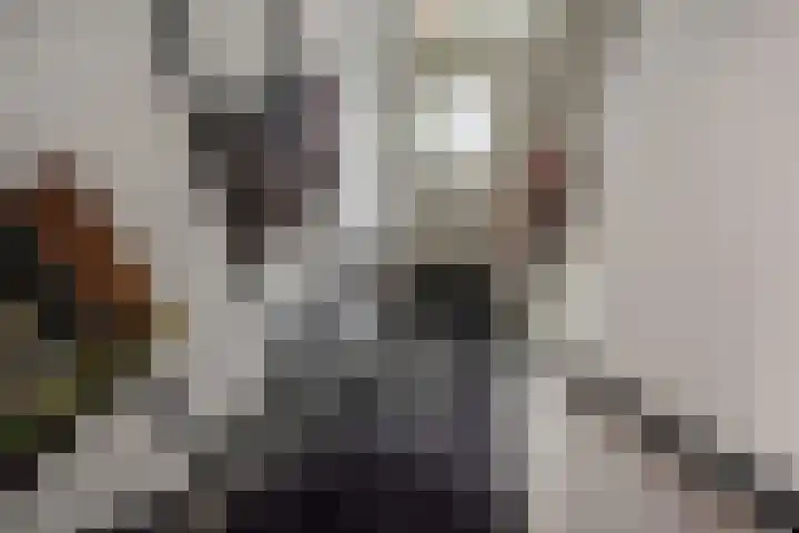 van Lugtenburgstraat 4 Voorburg thumbnail 23