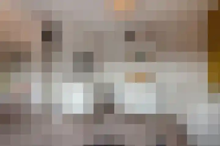 van Lugtenburgstraat 4 Voorburg thumbnail 29