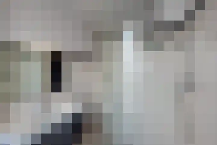 van Lugtenburgstraat 4 Voorburg thumbnail 31