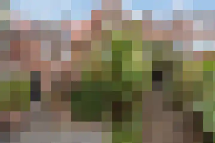 van Lugtenburgstraat 4 Voorburg thumbnail 38