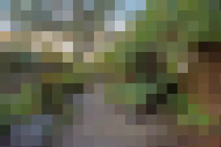 van Lugtenburgstraat 4 Voorburg thumbnail 5