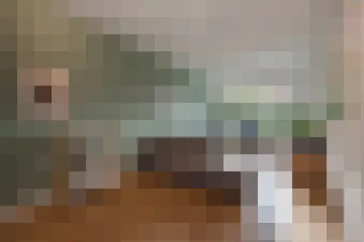 van Lugtenburgstraat 4 Voorburg thumbnail 8
