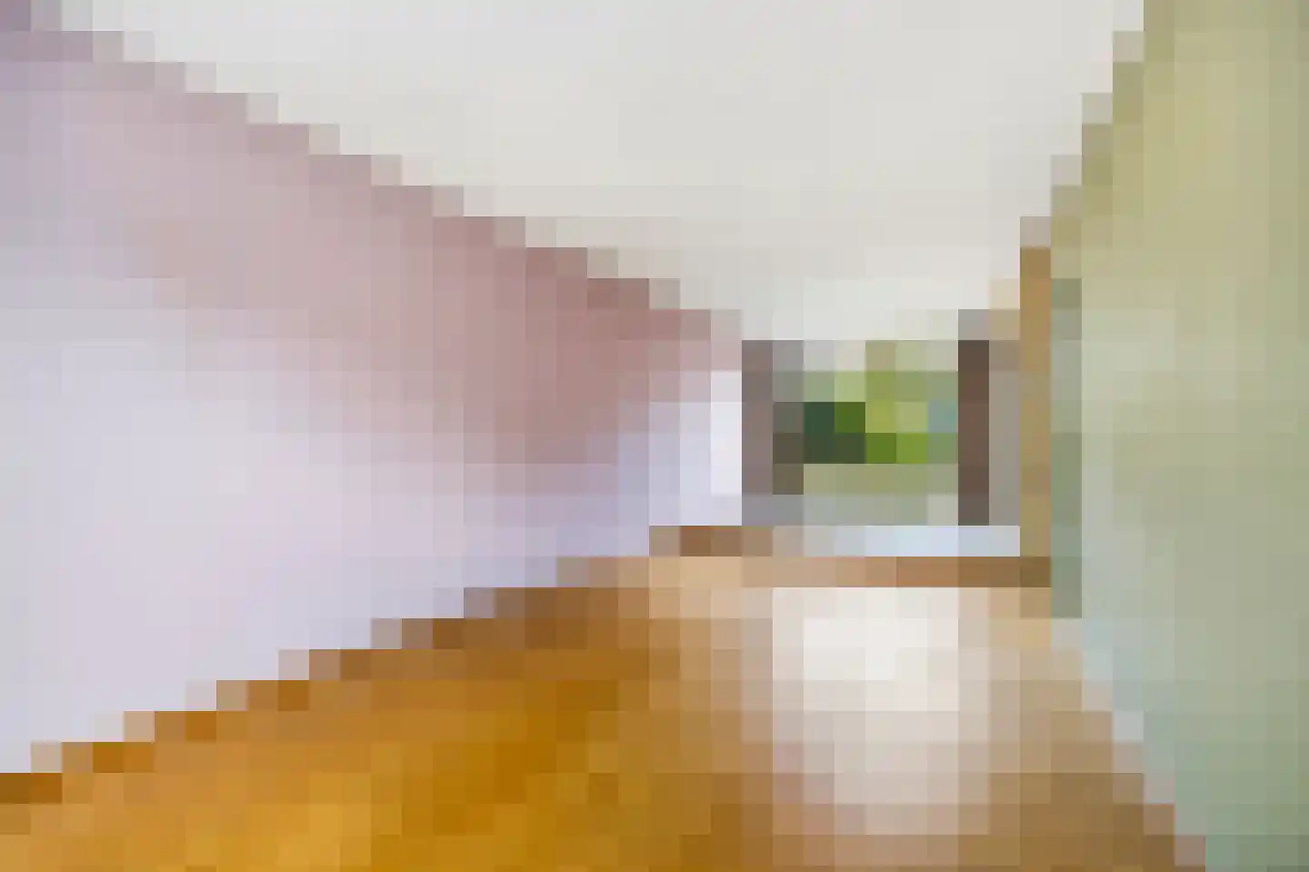 van Lugtenburgstraat 44 Voorburg thumbnail 8