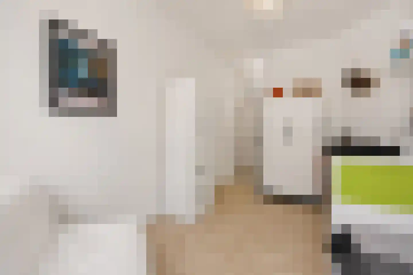 Van Lumeystraat 42 Den Haag thumbnail 25