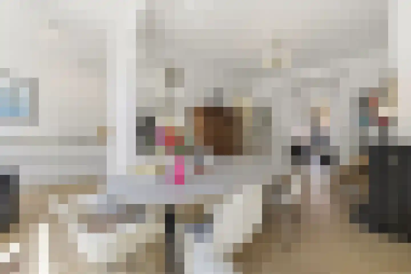 Van Lumeystraat 42 Den Haag thumbnail 6