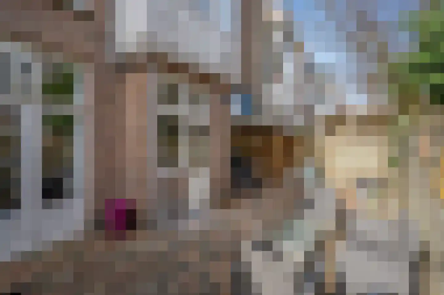 Van Lumeystraat 55 Den Haag thumbnail 4