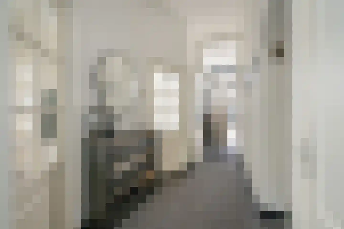 Van Lumeystraat 55 Den Haag thumbnail 9