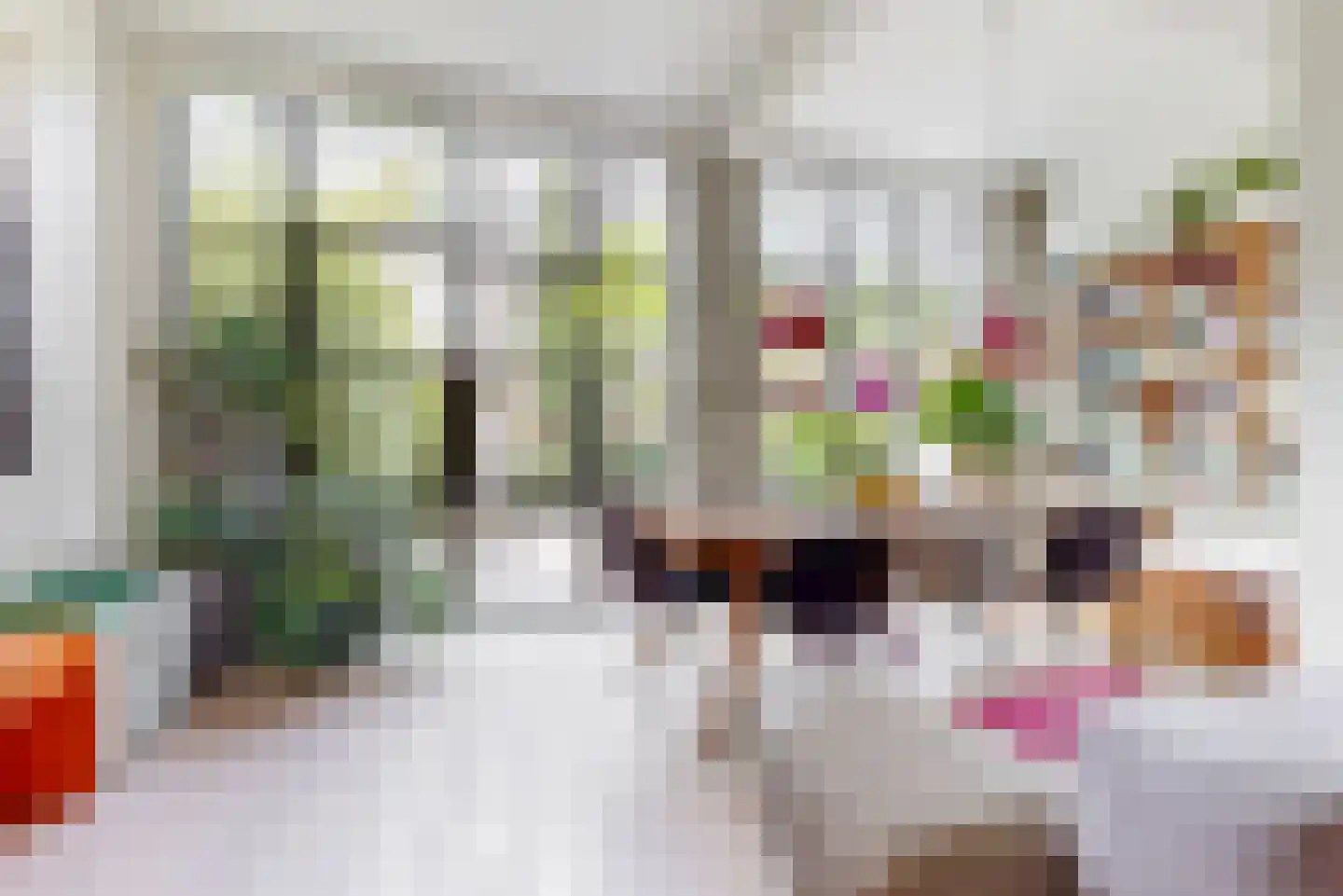 Van Lumeystraat 66 Den Haag thumbnail 13