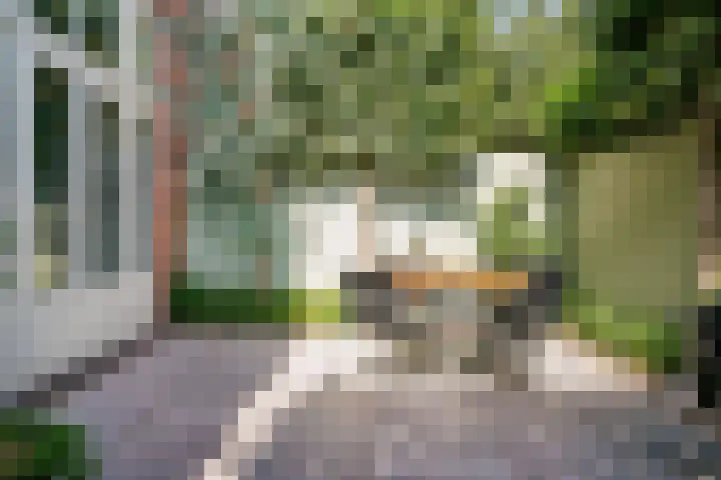 Van Lumeystraat 77 Den Haag thumbnail 12