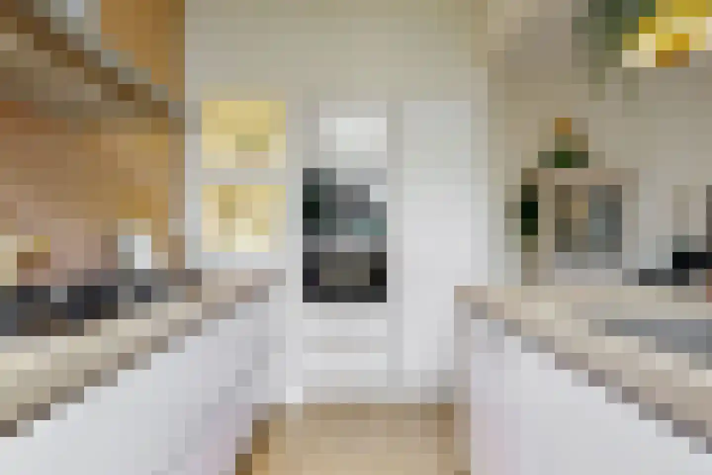 Van Lumeystraat 77 Den Haag thumbnail 8