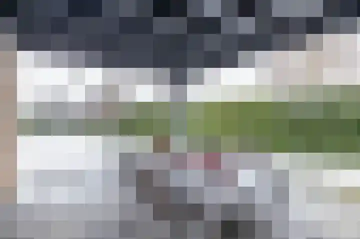 Van Lunterenstraat 2 Almelo thumbnail 31